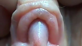 Intense Close-Up Of A Woman Pleasuring Herself
