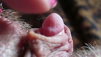 Intense Close-Up Of My Pulsating Clit Head In Amateur Porn