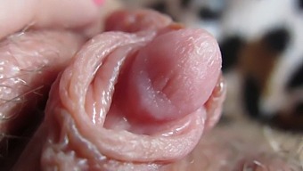 Intense Close-Up Of My Massive Aroused Clitoris