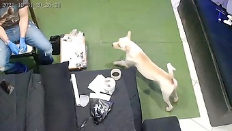 纹身