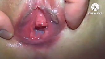 Pussy